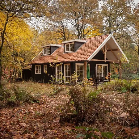 Bos En Heide Villa Hezingen Exterior photo