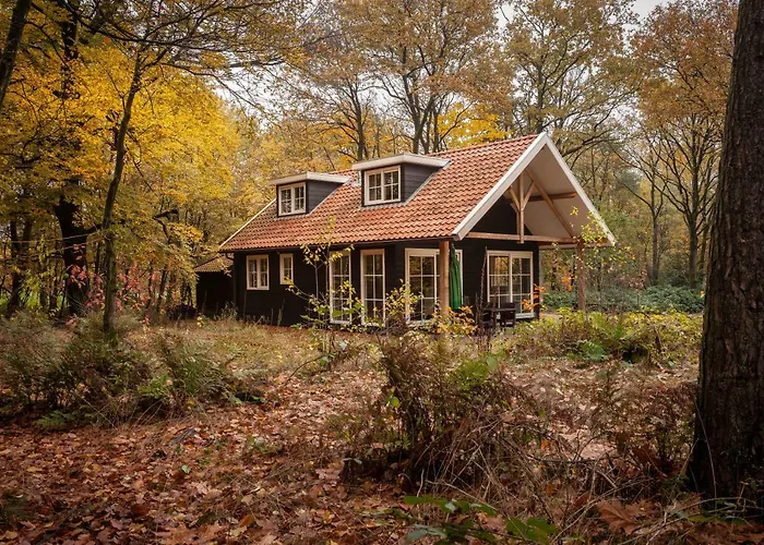 Bos En Heide