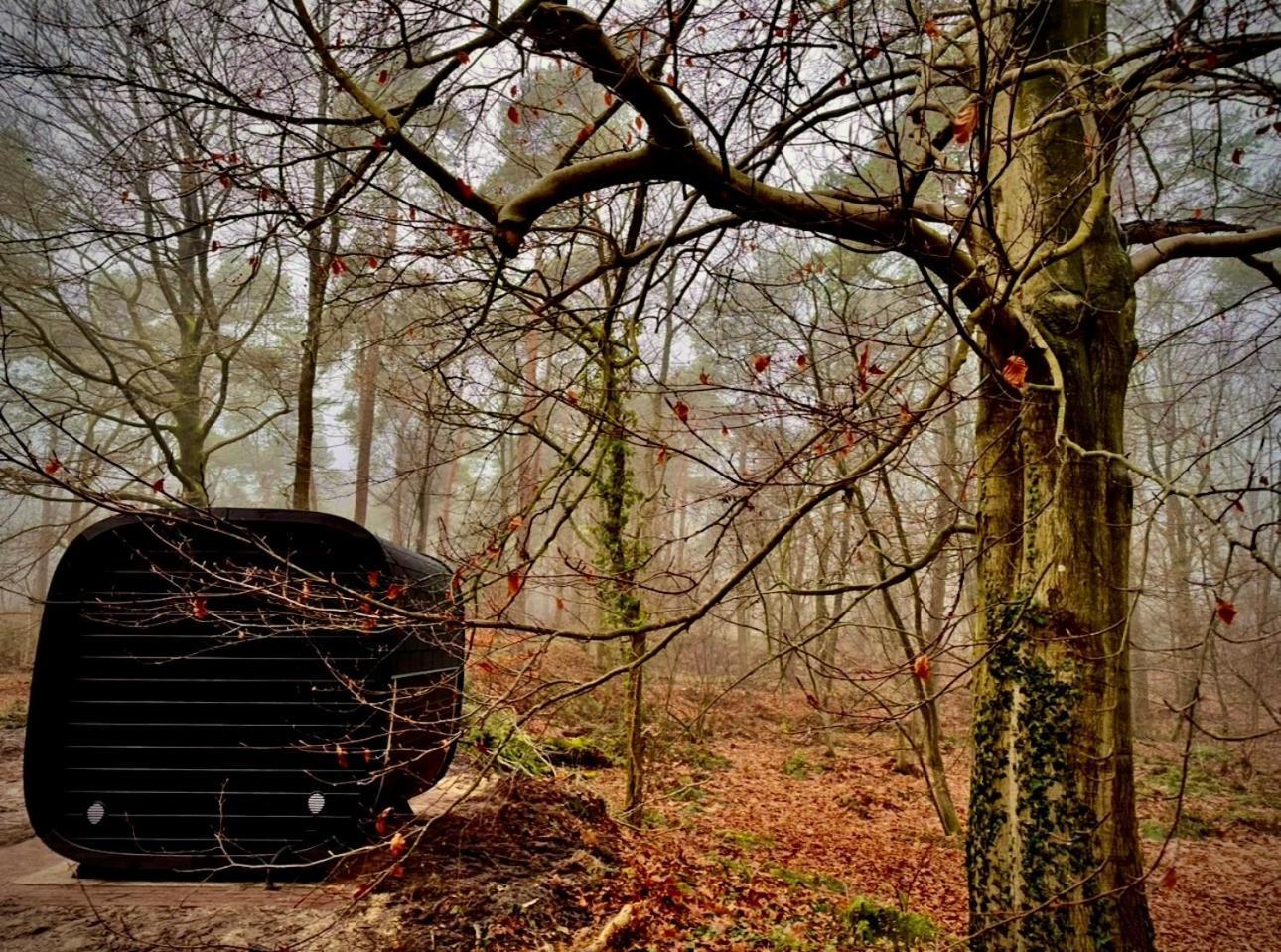 Bos En Heide Holiday home *
