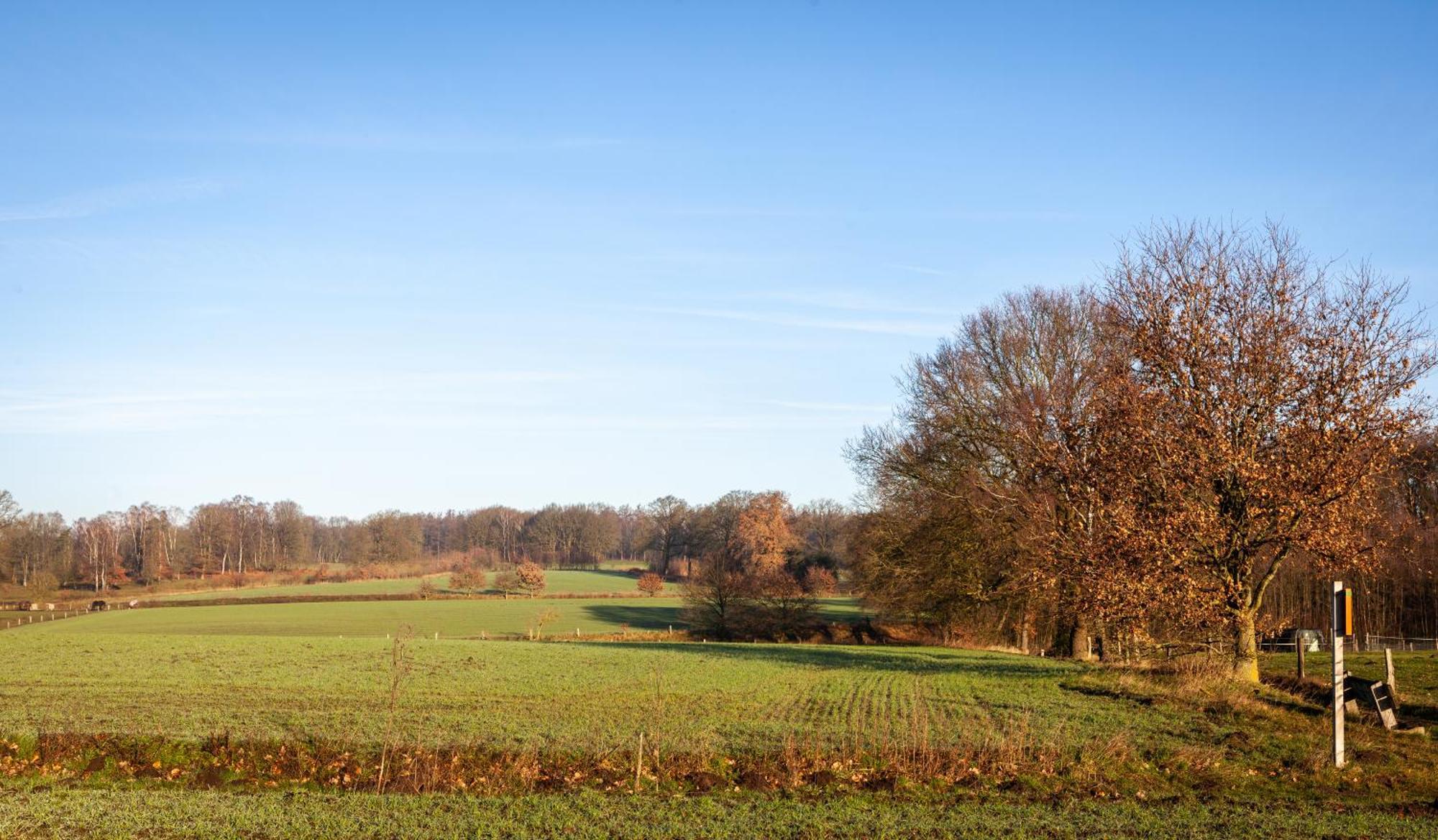 Bos En Heide * Hezingen