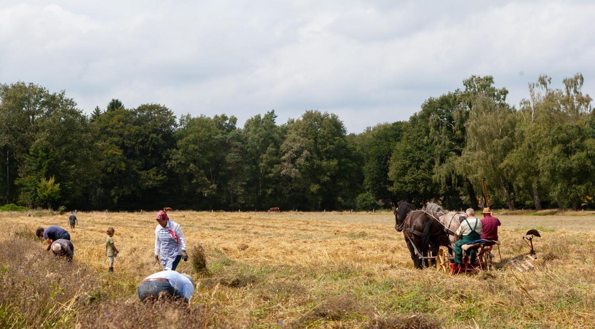 Bos En Heide Holiday home