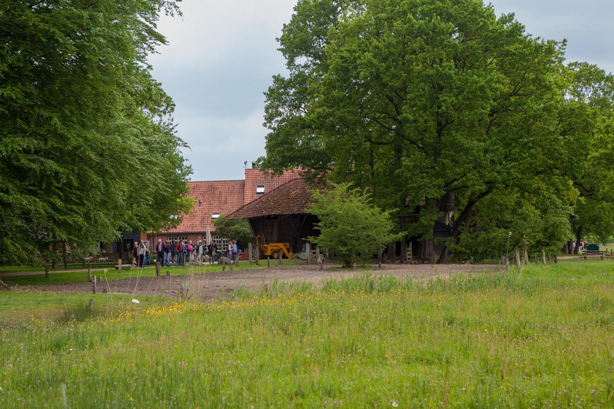 Bos En Heide Holiday home *
