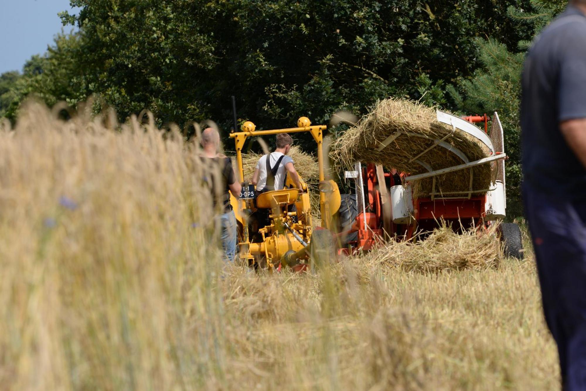 Bos En Heide Holiday home