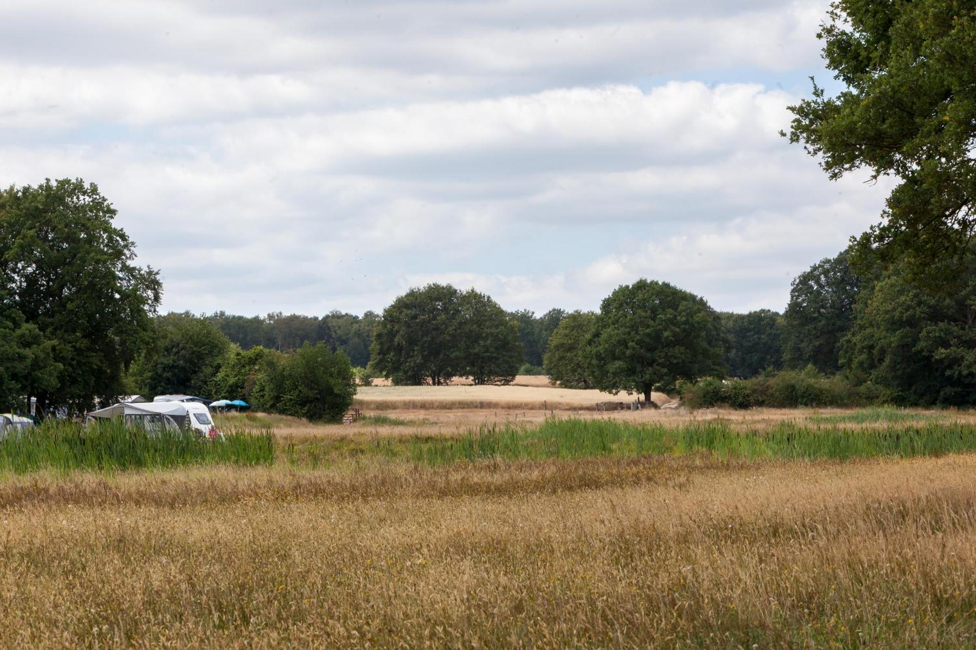 Holiday home Bos En Heide