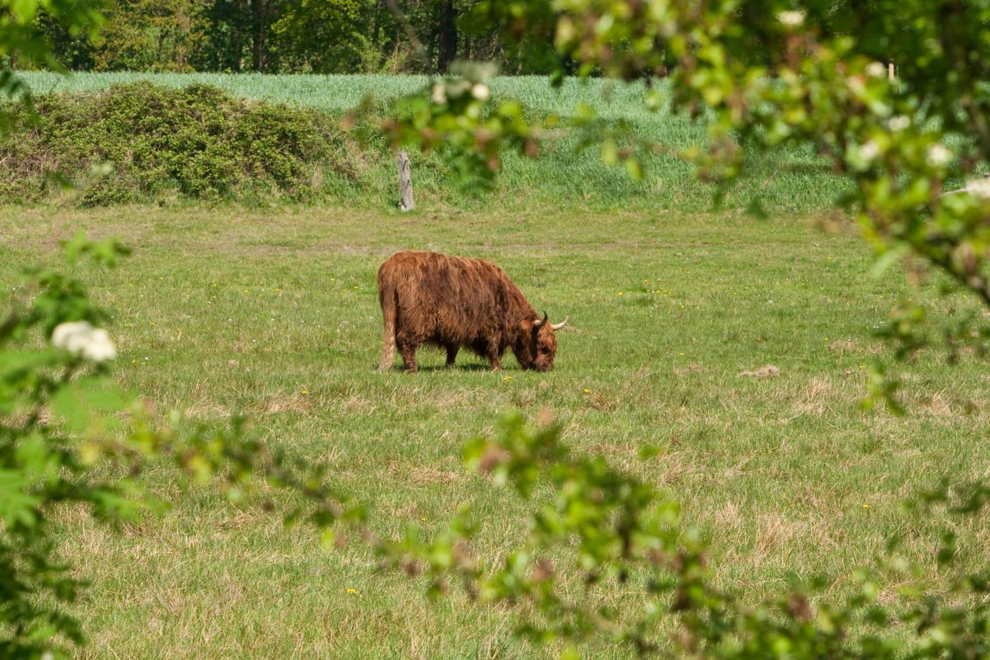 Bos En Heide Hezingen