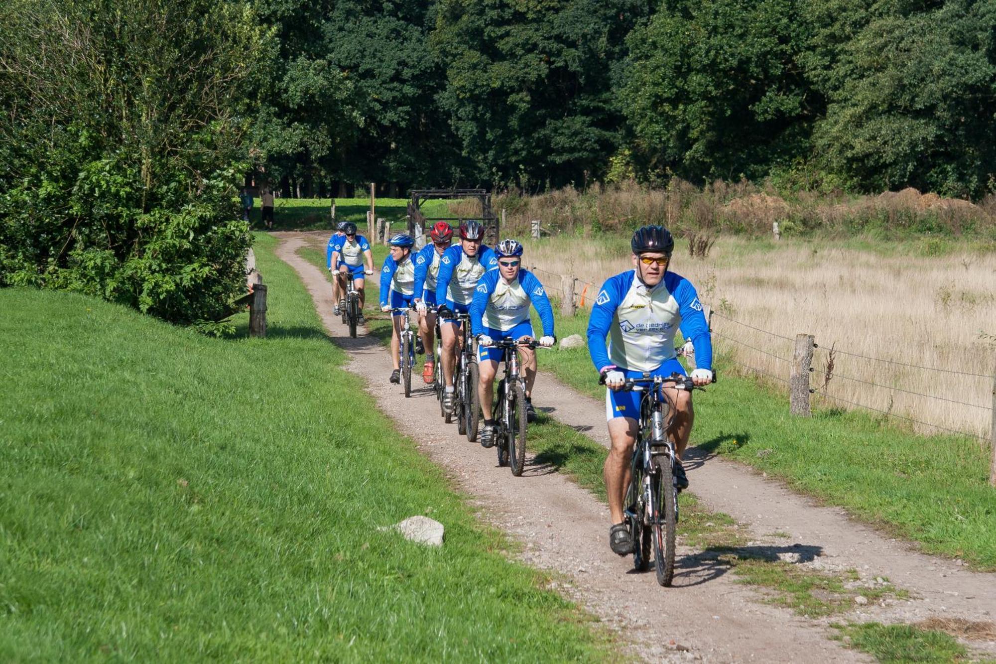 Bos En Heide * Hezingen