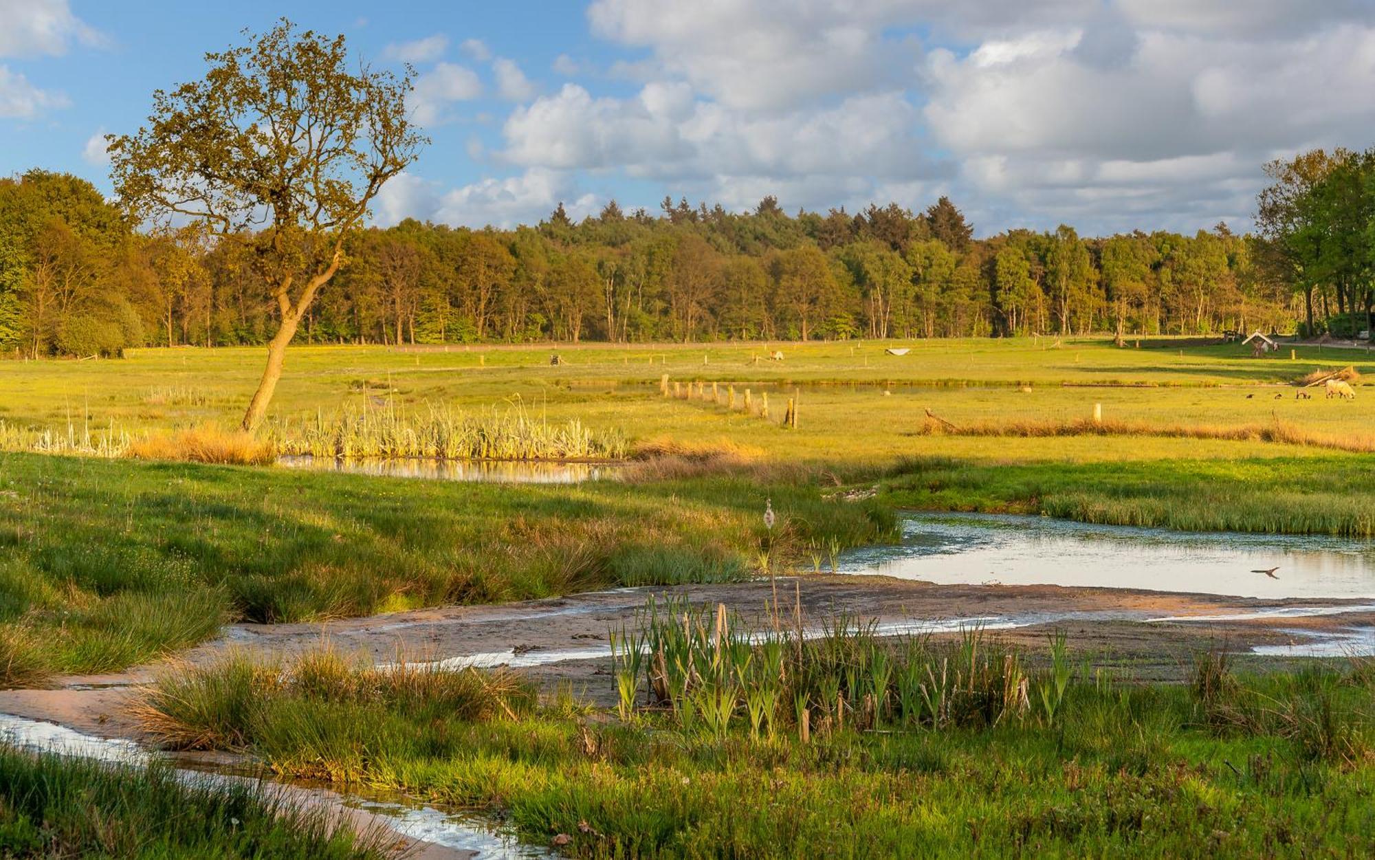 Holiday home Bos En Heide *