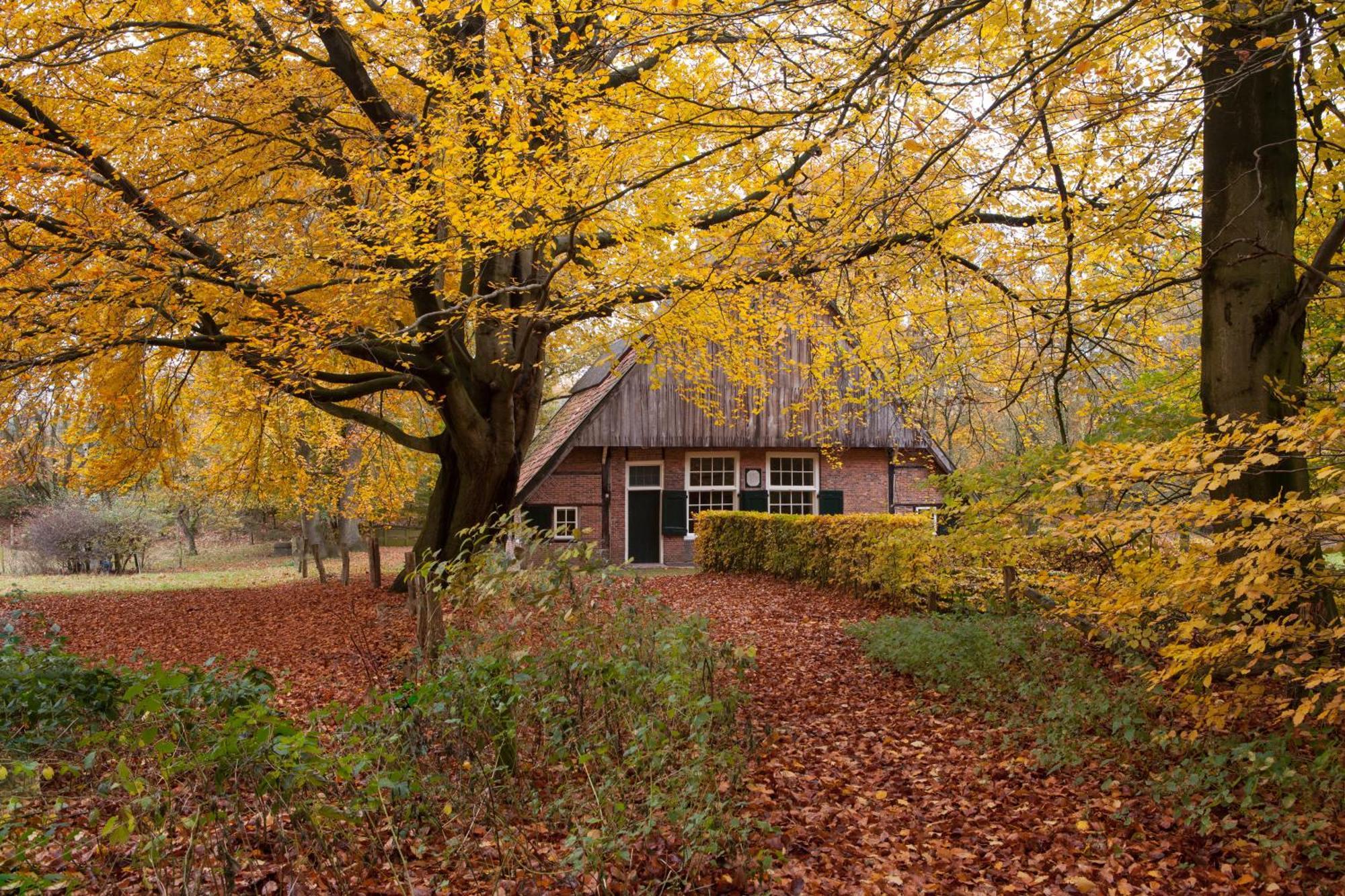 Bos En Heide Holiday home Hezingen