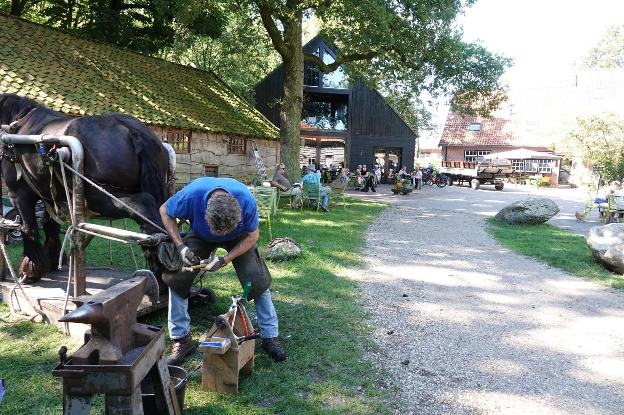 Bos En Heide Holiday home