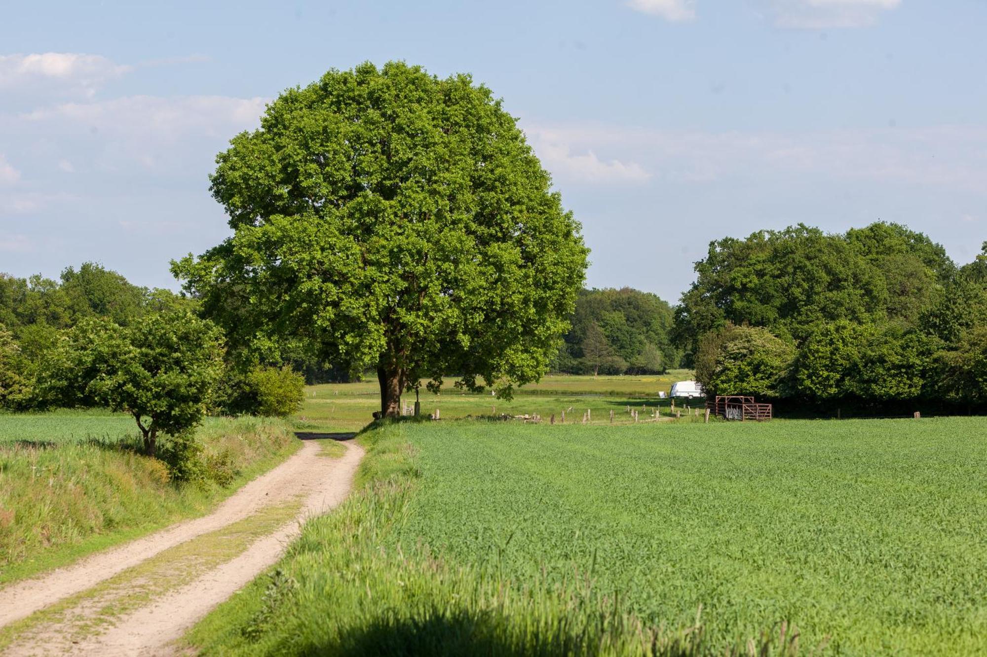 Holiday home Bos En Heide Hezingen