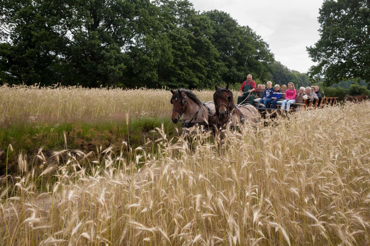 Holiday home Bos En Heide Hezingen