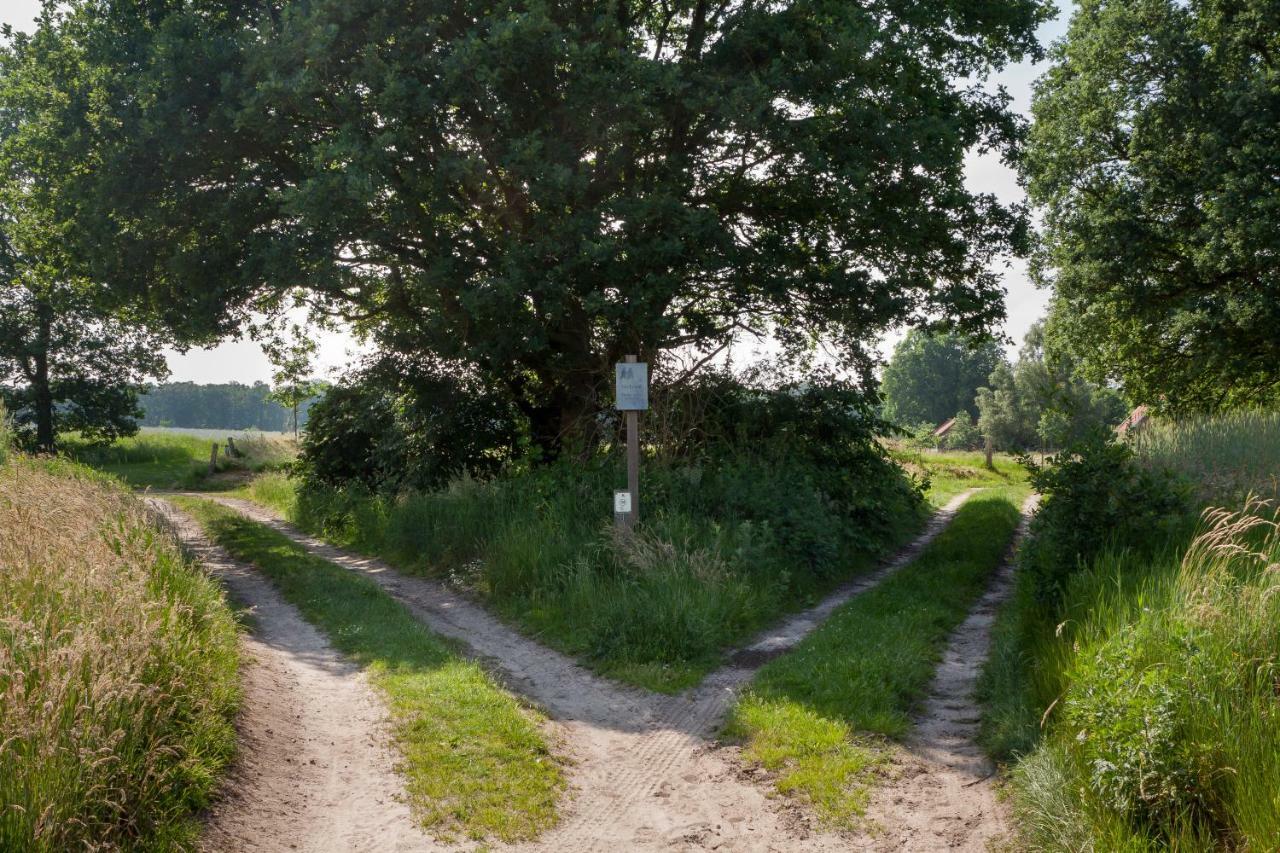 Bos En Heide * Hezingen