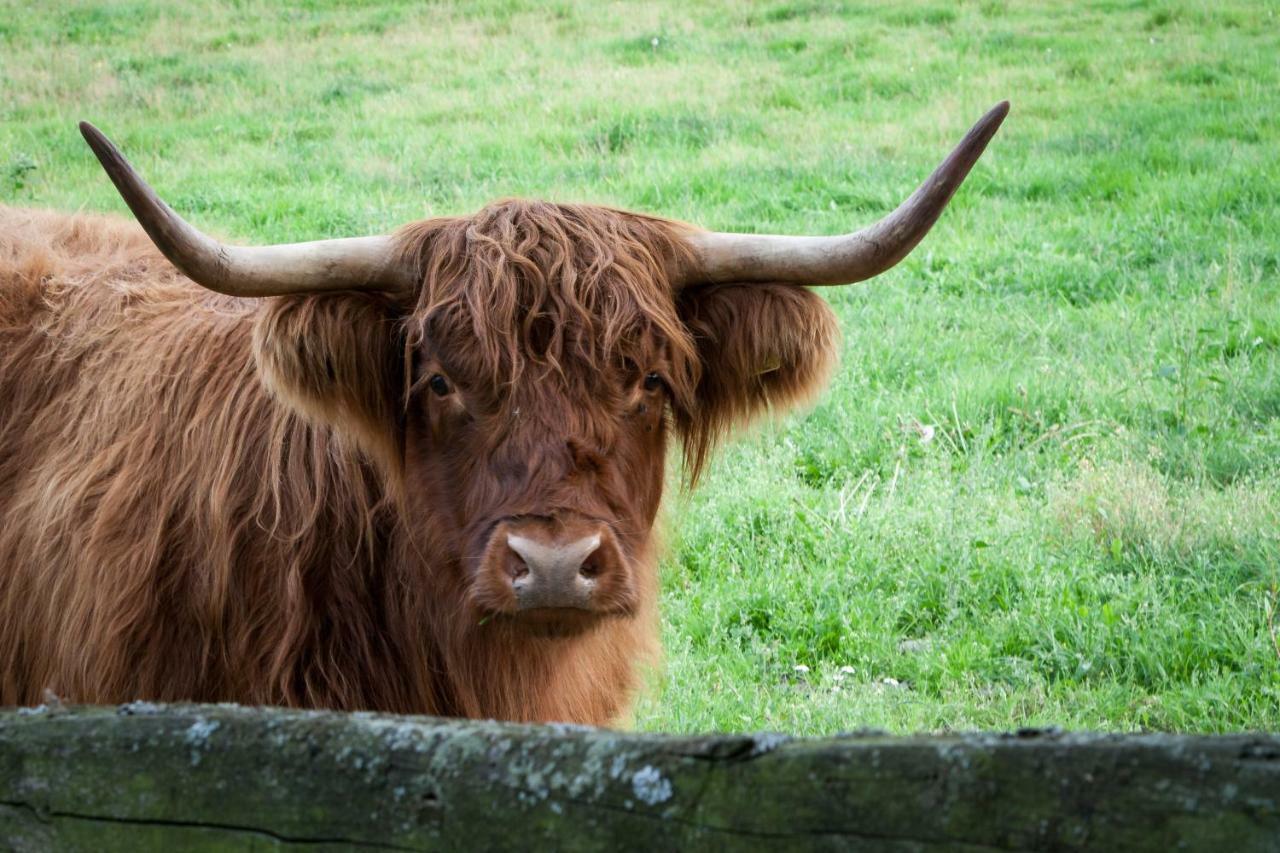 Bos En Heide Holiday home