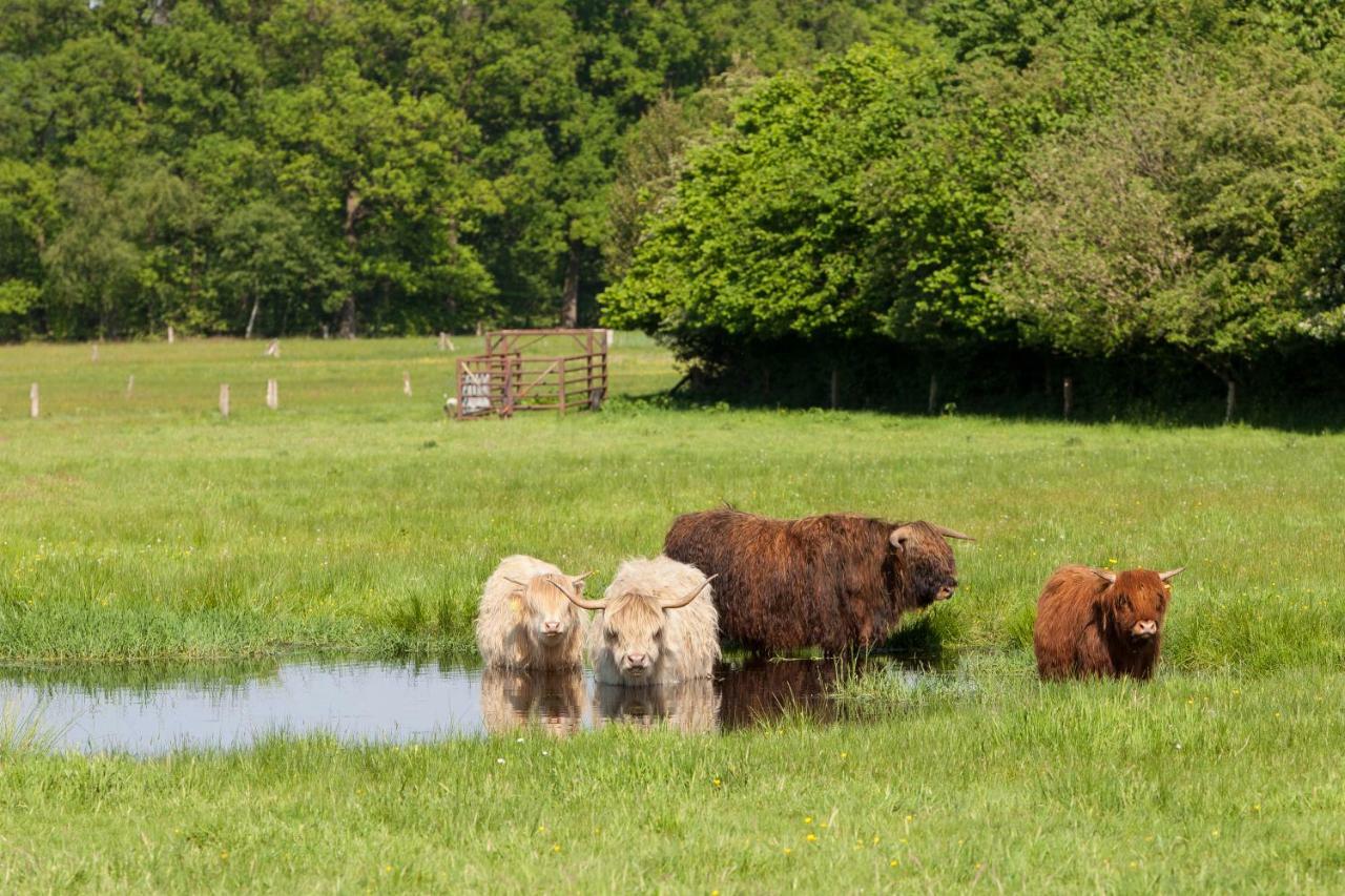 Bos En Heide *