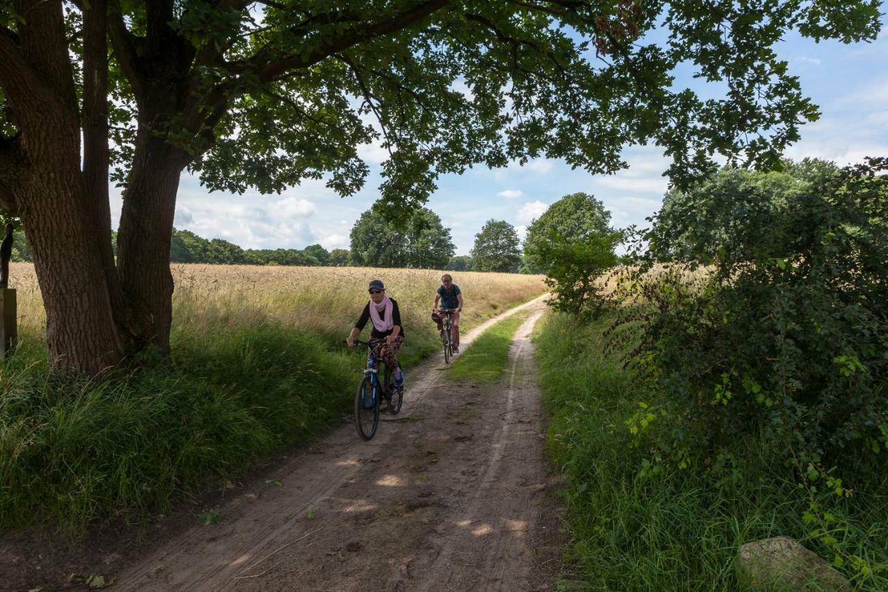 Holiday home Bos En Heide